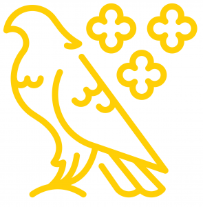 Vandzenes pagasts