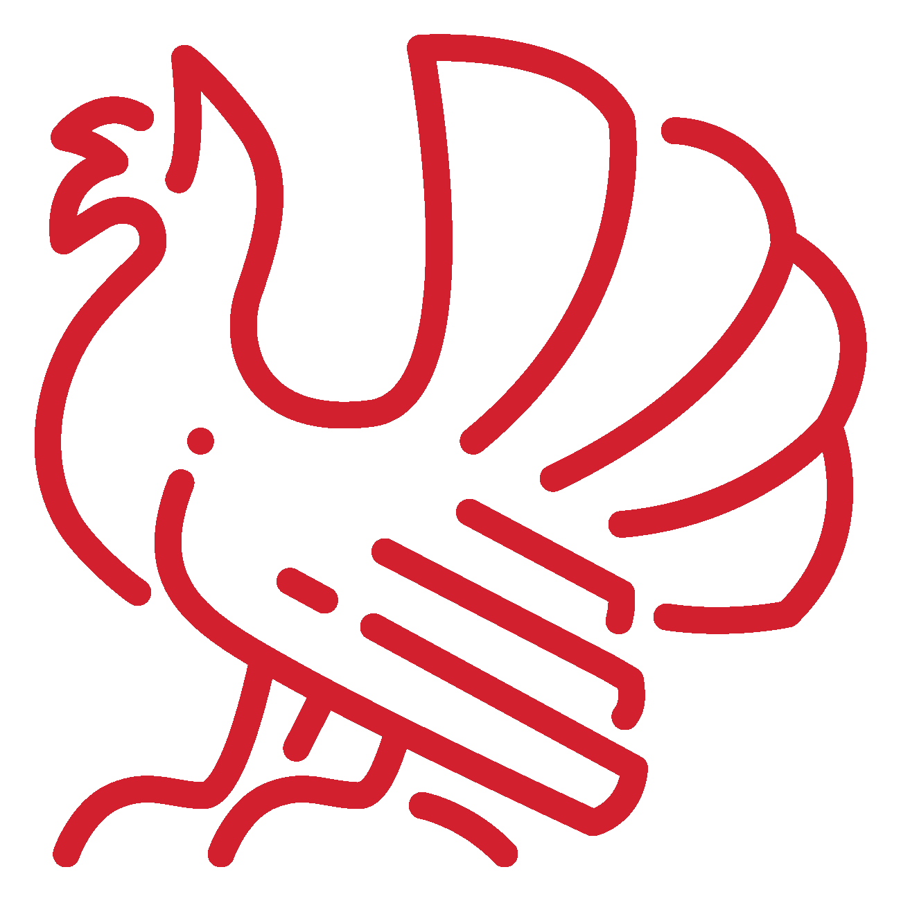Dundagas pagasts