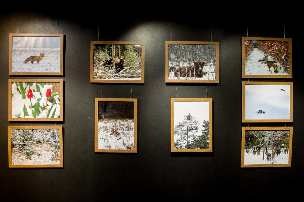 Kolodas izstādes foto