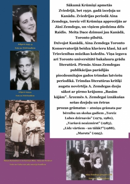 aina zemdega a3_3.jpg