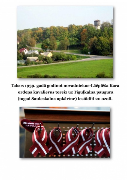 lāčplēšadiena a3 labots_6.jpg